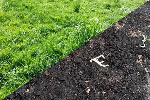 Artificial Turf Removal and Disposal in League City, TX
